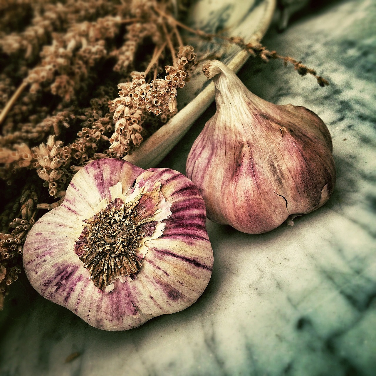 How To Plant, Grow, And Harvest Garlic