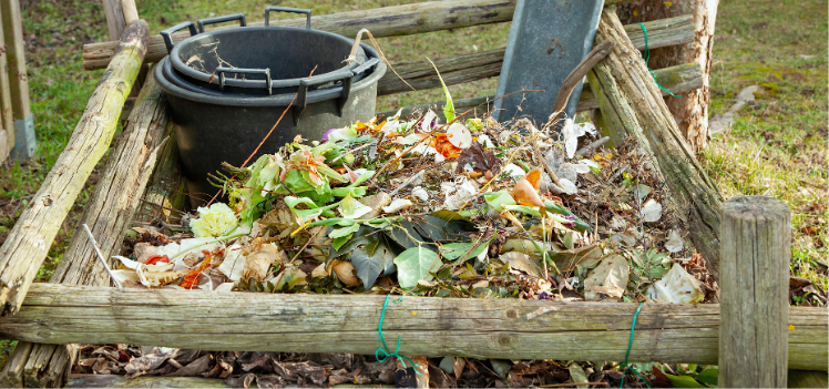 How To Compost For Beginners